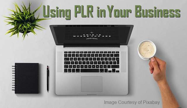 Using PLR in Your Business