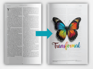 plain text to beautiful butterfly